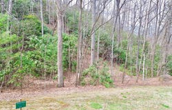 21 Settings Boulevard, Black Mountain, NC 28711