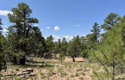 3 Leaning Pine Lane, Ramah, NM 87321