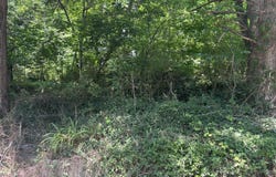 E Lewis Street, Corbin, KY 40701