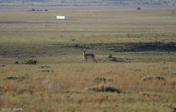 107-28-055A, Concho, AZ 85924