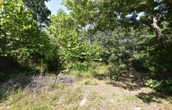 Deckard Road, Fordland, MO 65652
