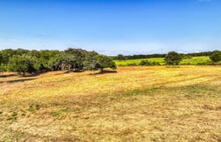 Three Quarter Loop lot: 34, Poolville, TX 76487
