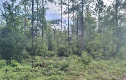 6238 NORTHWESTERN Avenue, Keystone Heights, FL 32656