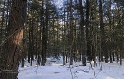 Chesterfield Road, Keene, NH 03431