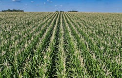 2848 370th Avenue, Graettinger, IA 51342