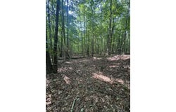 Parkstown Rd., Wilder, TN 38589