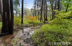 17722 148th Avenue, Spring Lake, MI 49456