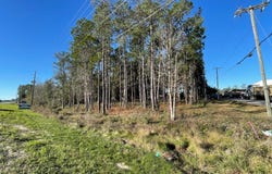 1.1 Acres US Highway 331 S, Freeport, FL 32439