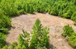 02 Count Road 1174, Goshen, AL 36079