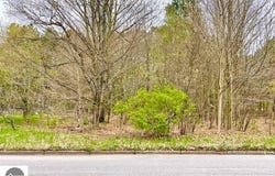 Brook Avenue, Kaleva, MI 49645