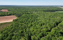 Highway 62, Blakely, GA 39823