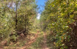 Chapel Hill Rd., Grenada, MS 38901