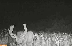 163 CR 402, Lindrith, NM 87029