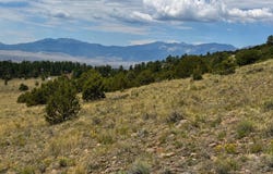 1054 Keepsake Lp, Westcliffe, CO 81252