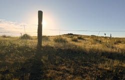 CR 105, Simla, CO 80835