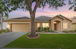 10903 WILDCAT Drive, RIVERVIEW, FL 33579