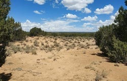 Witch Well Ranches, St. Johns, AZ 85936