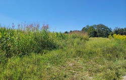 7132 S State Road 129 lot: 1, Versailles, IN 47042