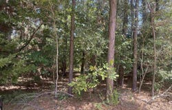 352 Neches Dr, Bullard, TX 75757