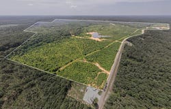 CR 430, OXFORD, MS 38655