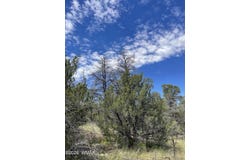 0001 Jeep Trail, Overgaard, AZ 85933