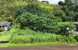 ALEO ST, Kapaa, HI 96746