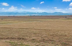 CR 82, Wellington, CO 80549