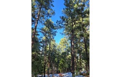 Zorn Rd, Rye, CO 81069