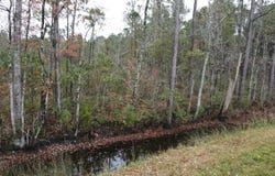 Nc-304, Bayboro, NC 28515