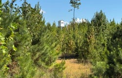 882 Poorhouse Road, Greenville, AL 36037