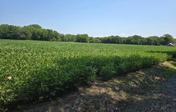PLANTATION RD lot: 0, ONANCOCK, VA 23417