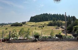 110 Liberty Ln, Kamiah, ID 83536