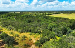 FM 2239, Paige, TX 78659