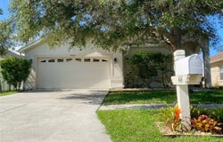 4041 LANGDRUM Drive, WESLEY CHAPEL, FL 33543