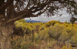 402 A Hondo Seco Rd, El Prado, NM 87514