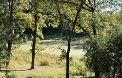 E1657 PINE Lane, WAUPACA, WI 54981