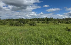 Mahogany Street, Mora, MN 55051
