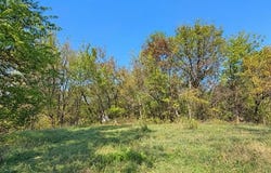 E Cedar Avenue, Wilburton, OK 74578