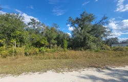 9460 ROUSSEAU Street, WEBSTER, FL 33597