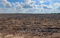 County Road 97, Robstown, TX 78380