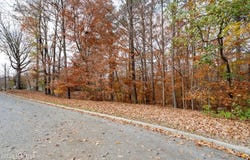 203 W Woodlawn Drive, Williamston, NC 27892