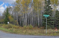 TBD 28.9 Rangeline Rd, Orr, MN 55771