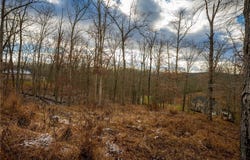 Lot 12 Stoney Creek Drive, Ripley, WV 25271