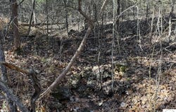 35.8 Acres Whitetail Way, Lincoln, MO 65338