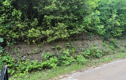Hwy 11, Linden, TX 76653