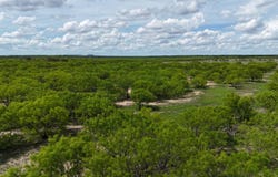 COUNTY ROAD 165, BANGS, TX 76823