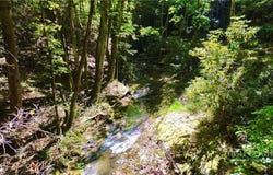 175 Dallas Watson Lane, Deep Gap, NC 28618