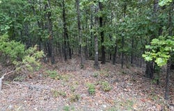001-09384-000 Camp Galilee, Lead Hill, AR 72644