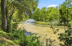 158 Gruene Vista Trail, New Braunfels, TX 78132
