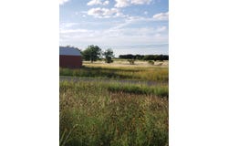 County Road 183, Bangs, TX 76823